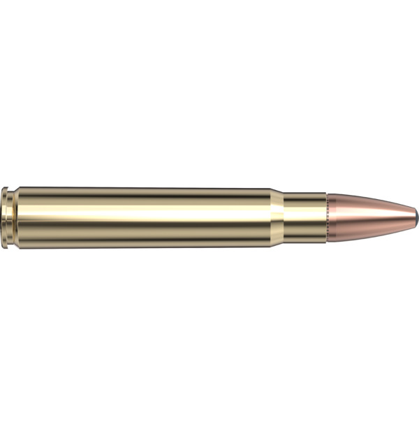 Hornady 9,3x62 TM